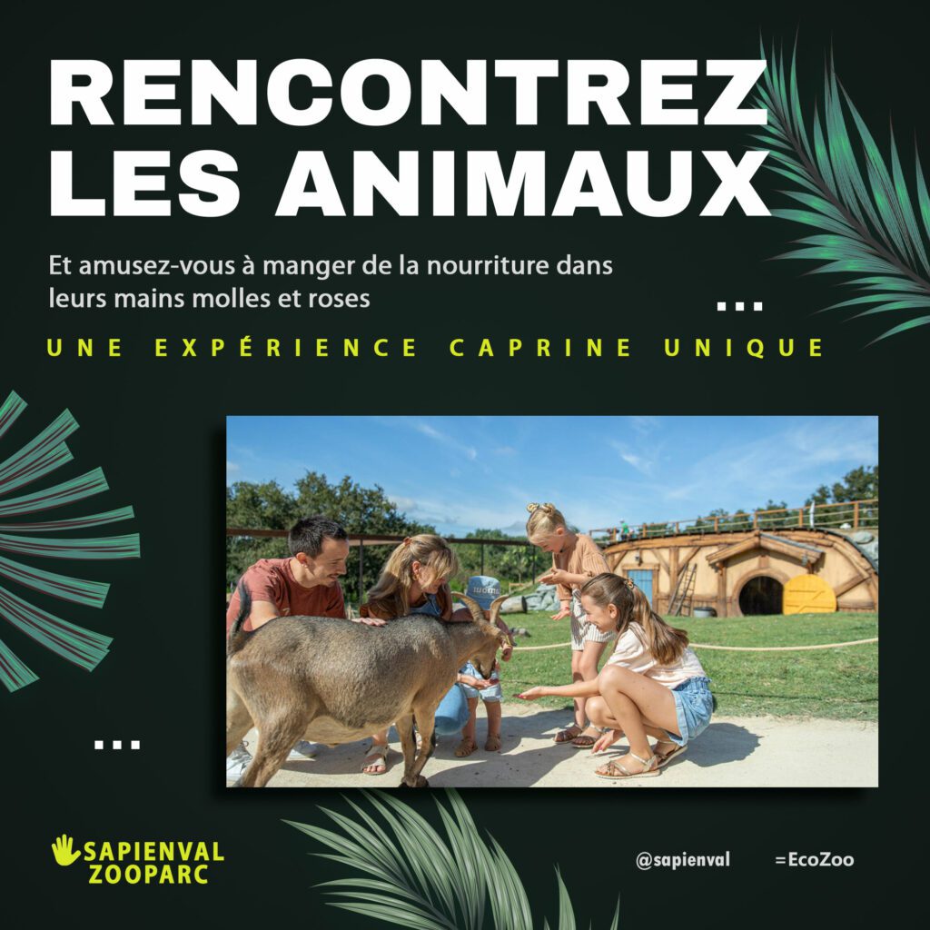 Rencontrez de chouettes humains lisses et roses au zooparc de Sapienval
